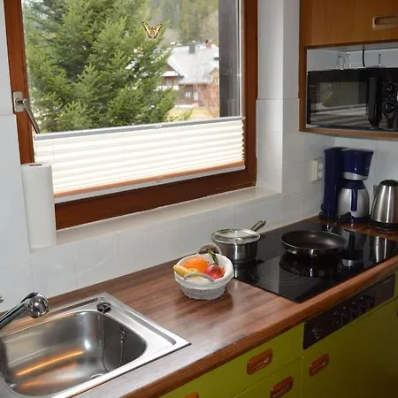With 2 Bedrooms * Menzenschwand