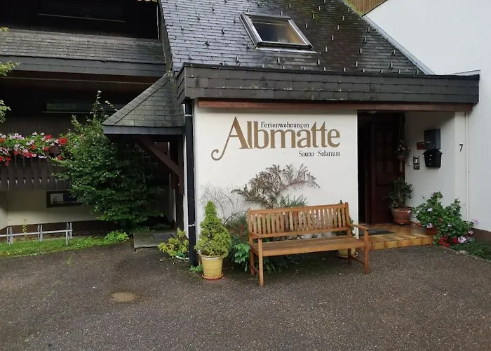 With 2 Bedrooms Menzenschwand-Hinterdorf