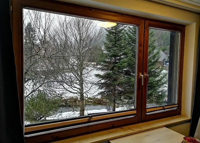 With 2 Bedrooms Menzenschwand-Hinterdorf